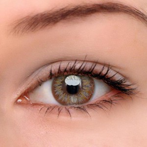 Eye Circle Lens Lily Grey Colored Contact Lenses