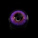 Eye Circle Lens Mystery Purple Colored Contact Lenses